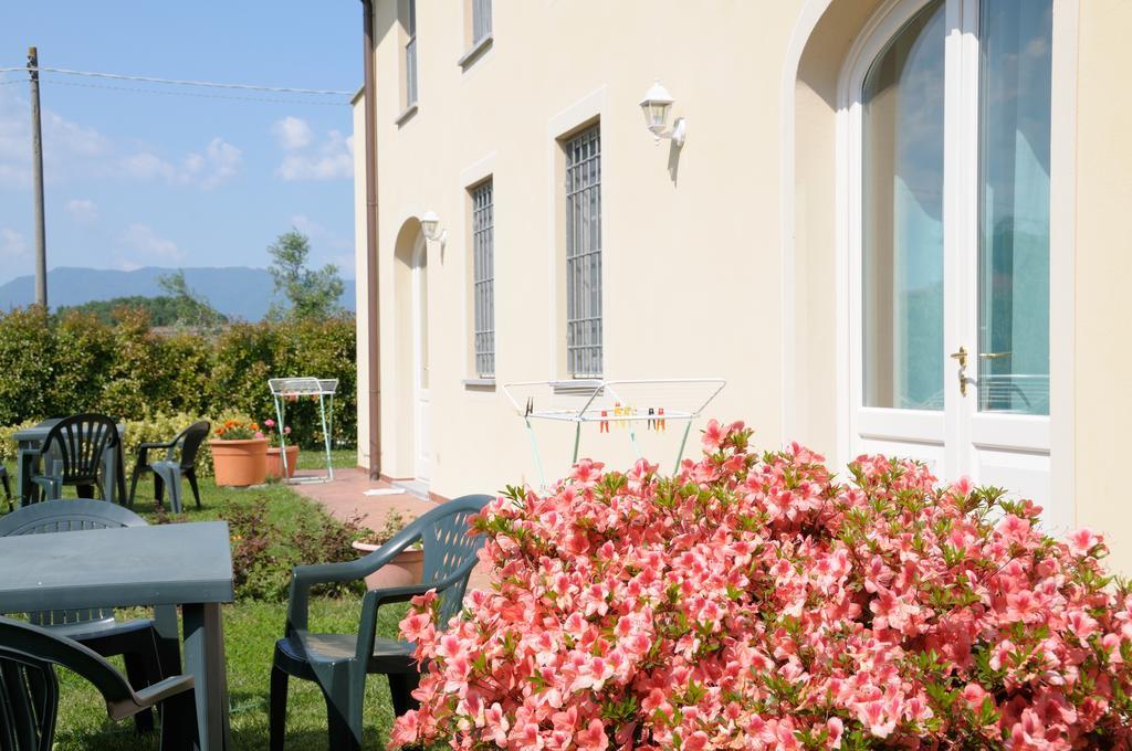 Appartamenti Vacanze Il Nottolini Капанари Екстериор снимка