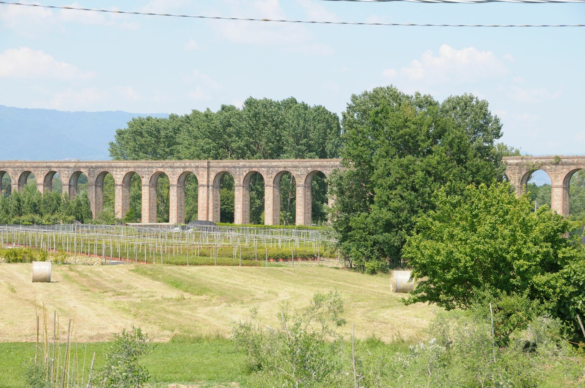 Appartamenti Vacanze Il Nottolini Капанари Екстериор снимка