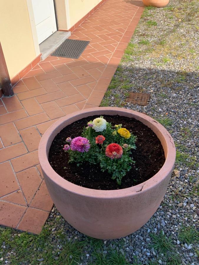 Appartamenti Vacanze Il Nottolini Капанари Екстериор снимка